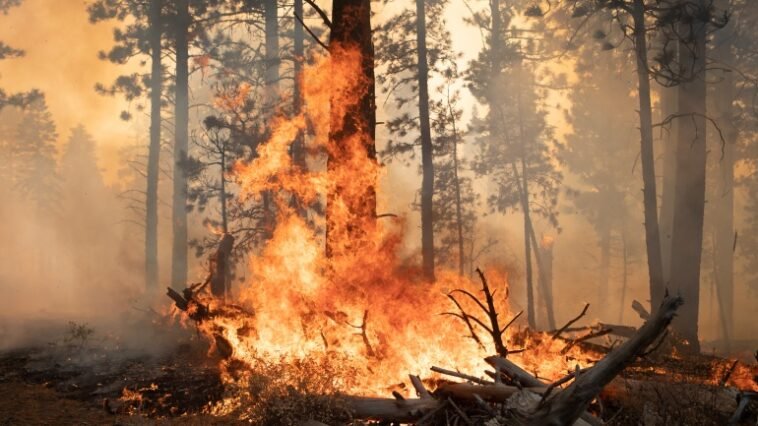 2021 was recorded as the 6th hottest year.