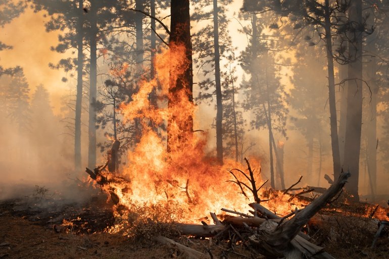 2021 was recorded as the 6th hottest year.