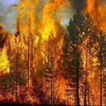 forest fires in Balochistan