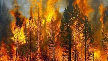 forest fires in Balochistan