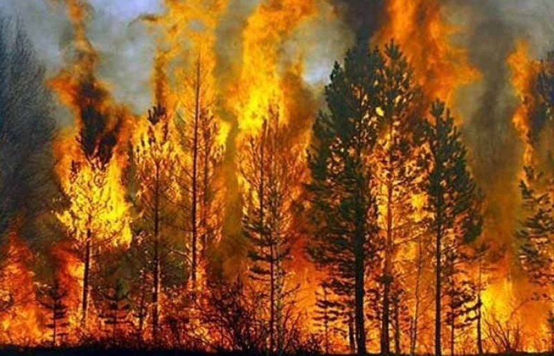 forest fires in Balochistan