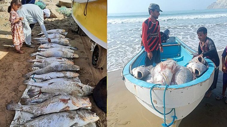 Baloch Fishermen