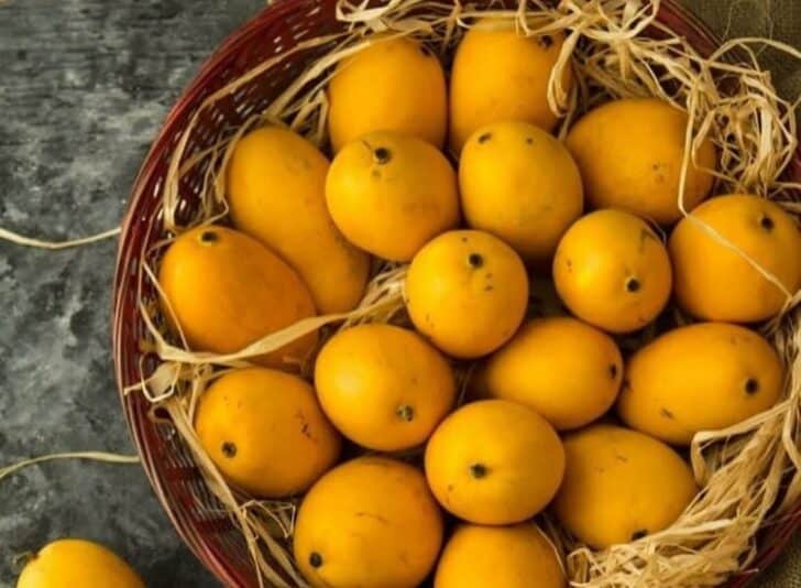 Mango Season In Pakistan Neemopani