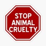 politicians and donkeys