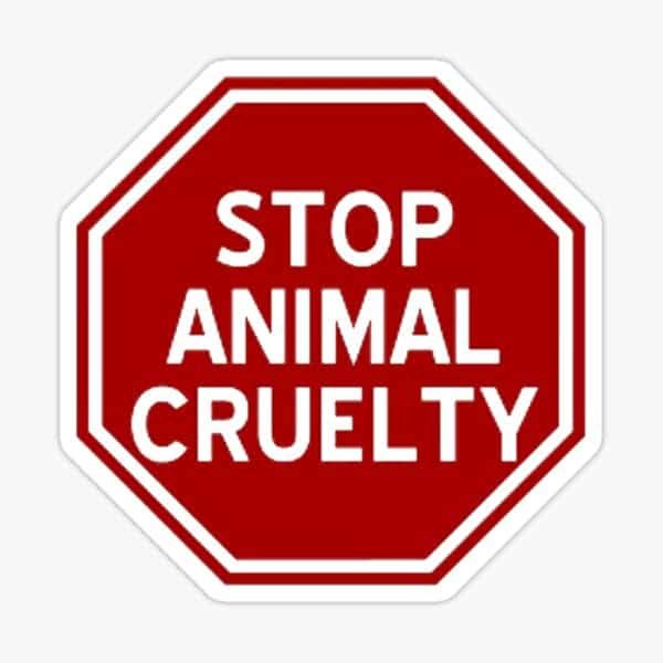 politicians and donkeys