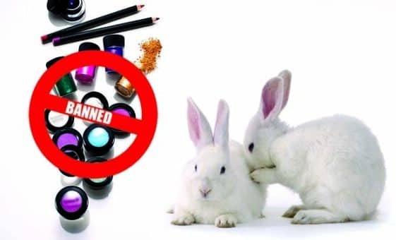 animal-testing-banned-in-pakistan-neemopani