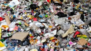 Are we eating micro plastic?