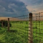 PAkistan, Hindustan aur Lakeer