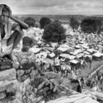 Independence day stories