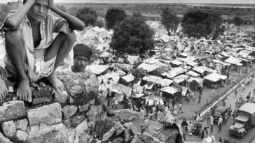 Independence day stories