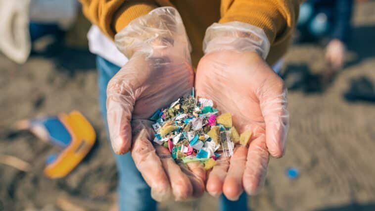 effects of microplastics on humans