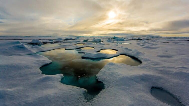 climate change may boost arctic "virus spillover" risk.