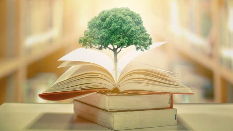 Pakistani universities ranked globally