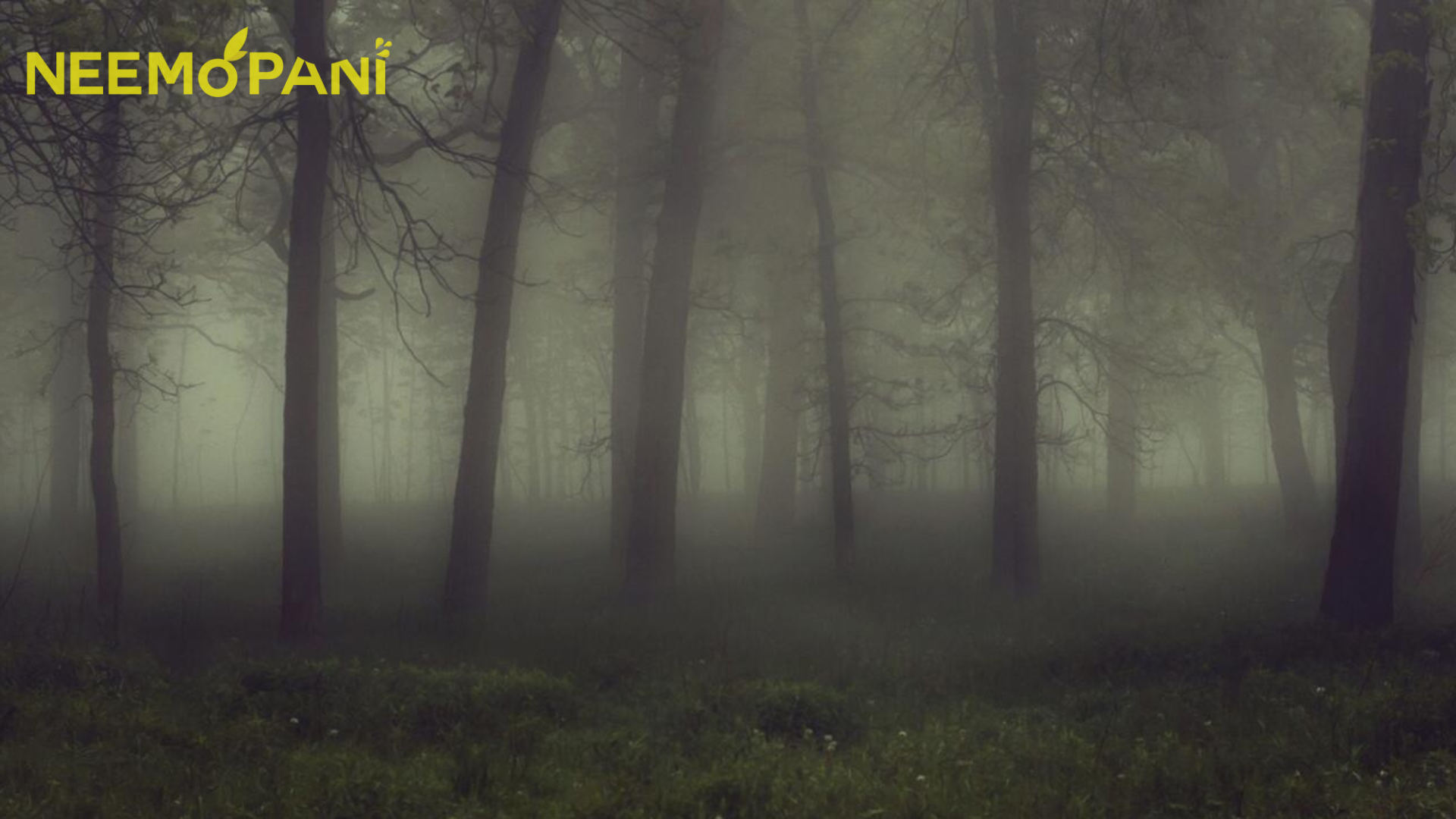 Reddit Horror Stories from Pakistan that will send shivers down your spine