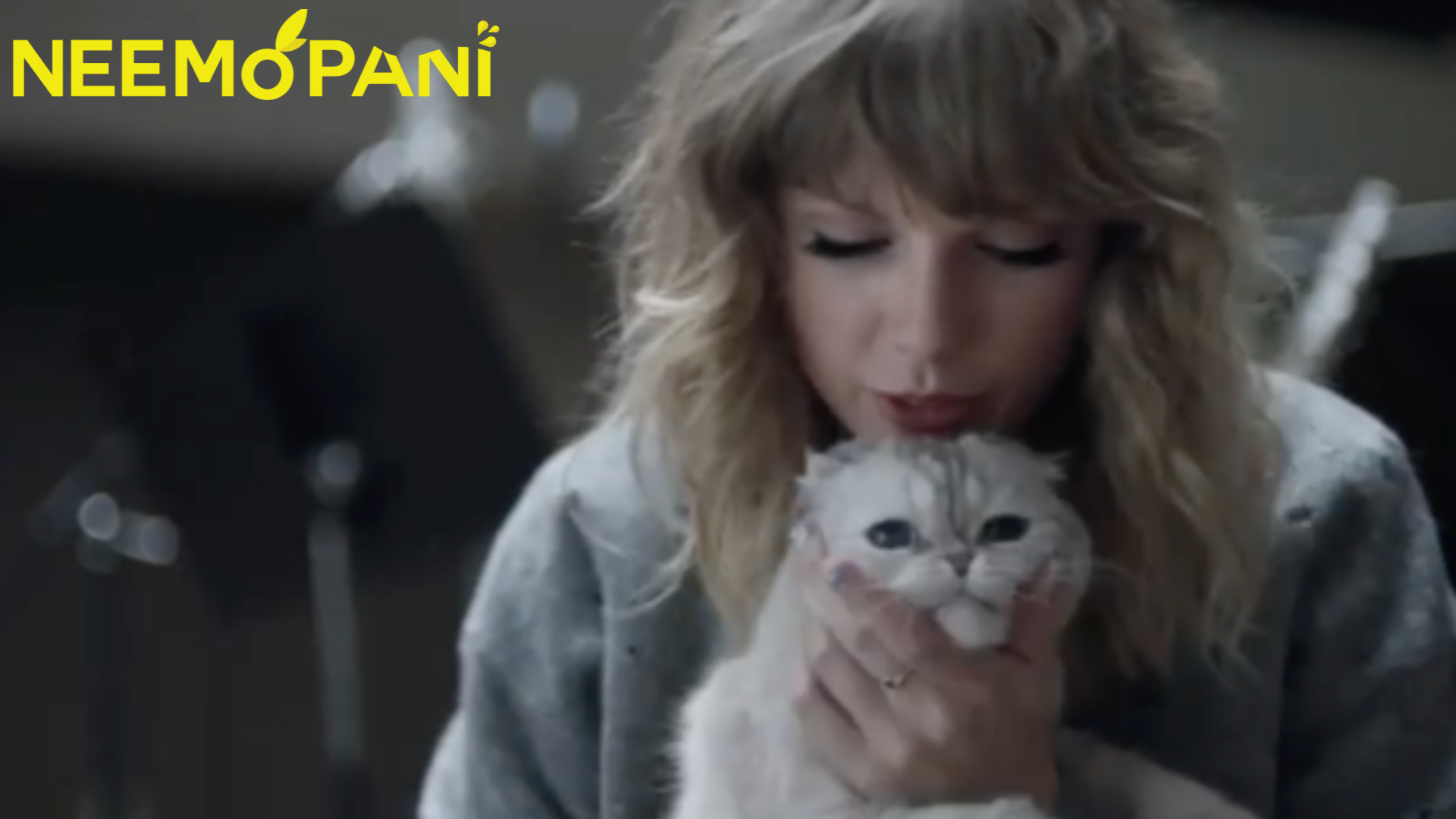 Taylor Swift owns the most expensive cat in the world