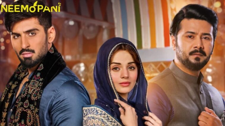 Qalandar Drama among the top 5 dramas.