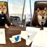Elon Musk names his pet dog the new Twitter CEO
