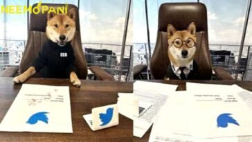 Elon Musk names his pet dog the new Twitter CEO