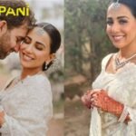 Ushna Shah looked beautiful in her Sari