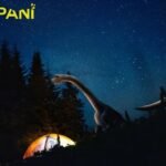 One type of a dinosaur having a record-breaking neck