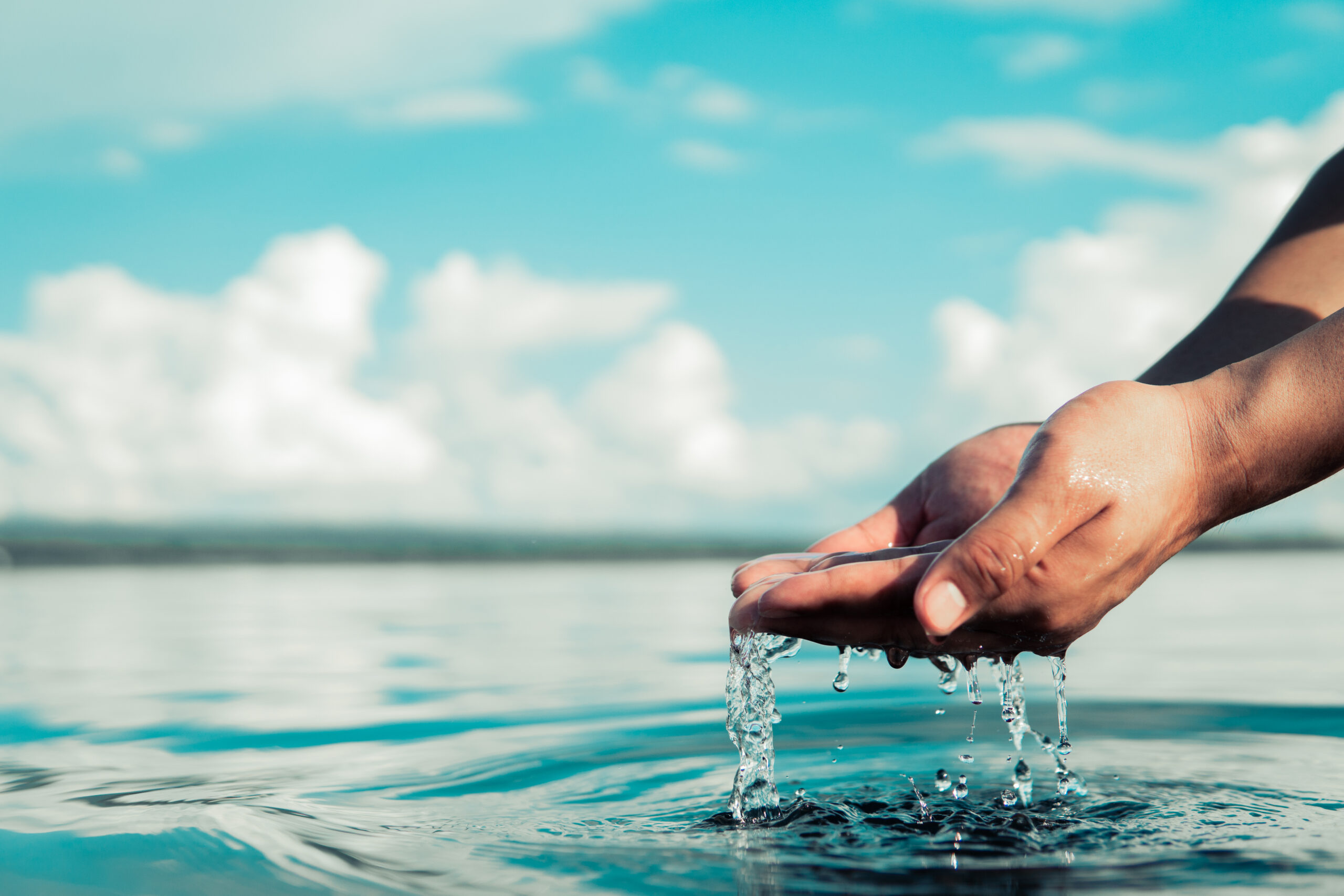 Вода концепция. Касается воды лапой арт.