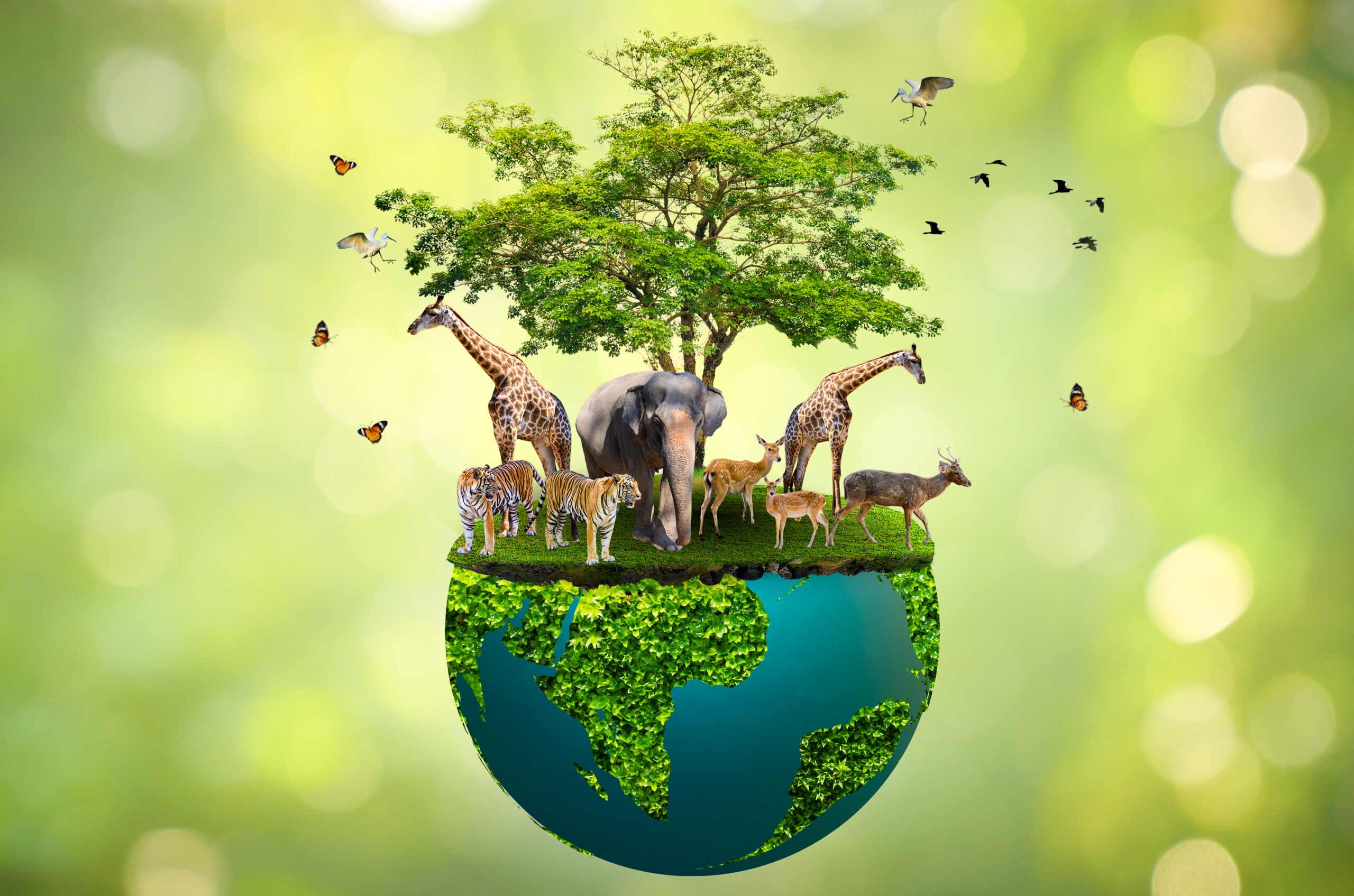 World Environment Day 2023: Time to #BeatPlasticPollution