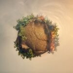 The Climate Change Reality: A Call to Action