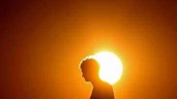 hottest day of the year