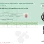 Polio Cards made Compulsory for travellers from now on!