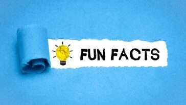 77 Jaw-Dropping Random Fun Facts