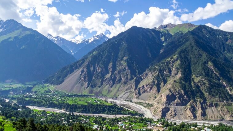 kashmir article neemopani