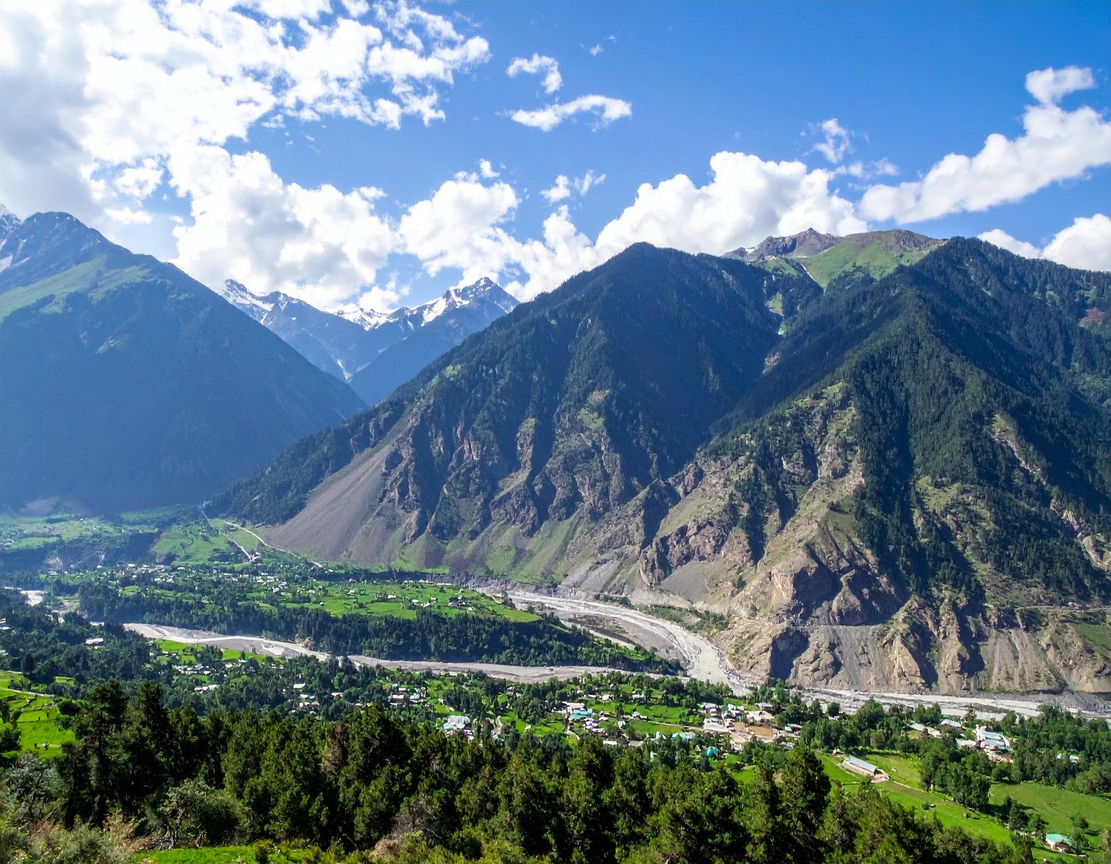 kashmir article neemopani