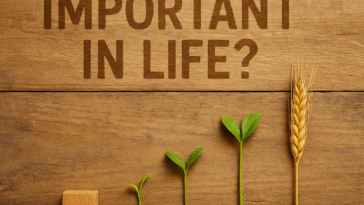 revisiting the stages of life neemopani article