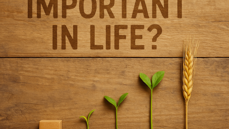revisiting the stages of life neemopani article