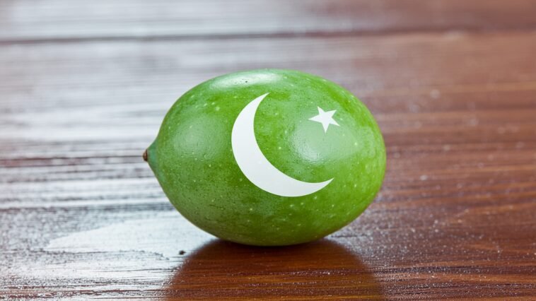 olive farming pakistan