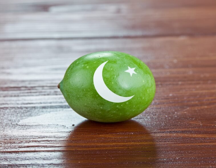 olive farming pakistan